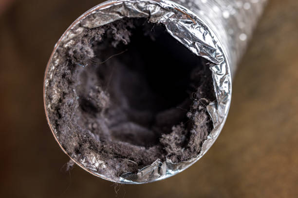 Best Affordable Air Duct Cleaning  in Mazon, IL