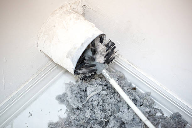 Best Affordable Duct Cleaning Services  in Mazon, IL